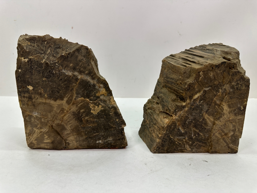 Pair of Petrified Wood Bookends 5.5'W x 6'H [Photo 6]