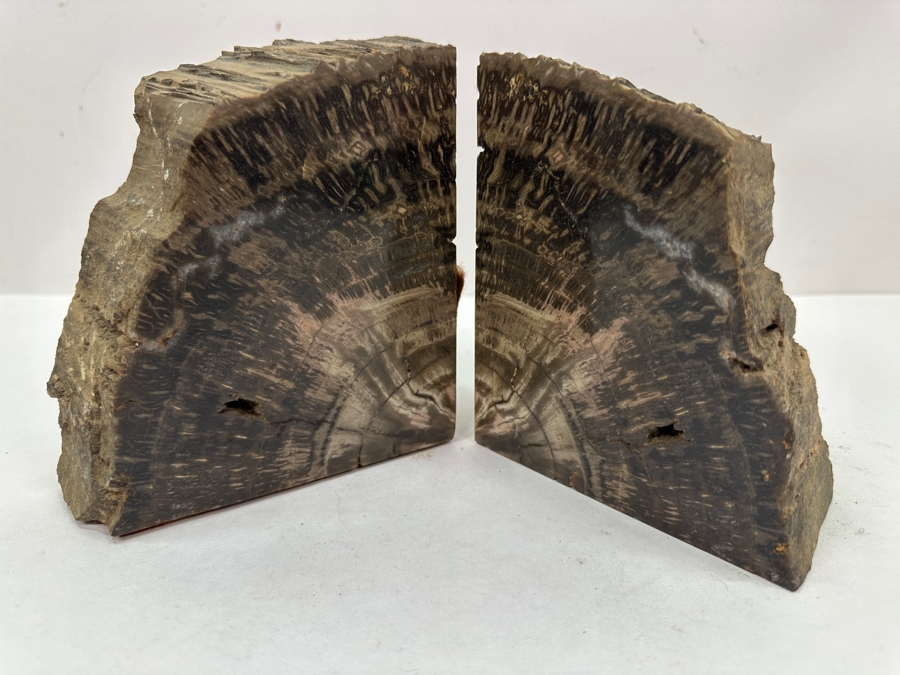 Pair of Petrified Wood Bookends 5.5'W x 6'H [Photo 4]