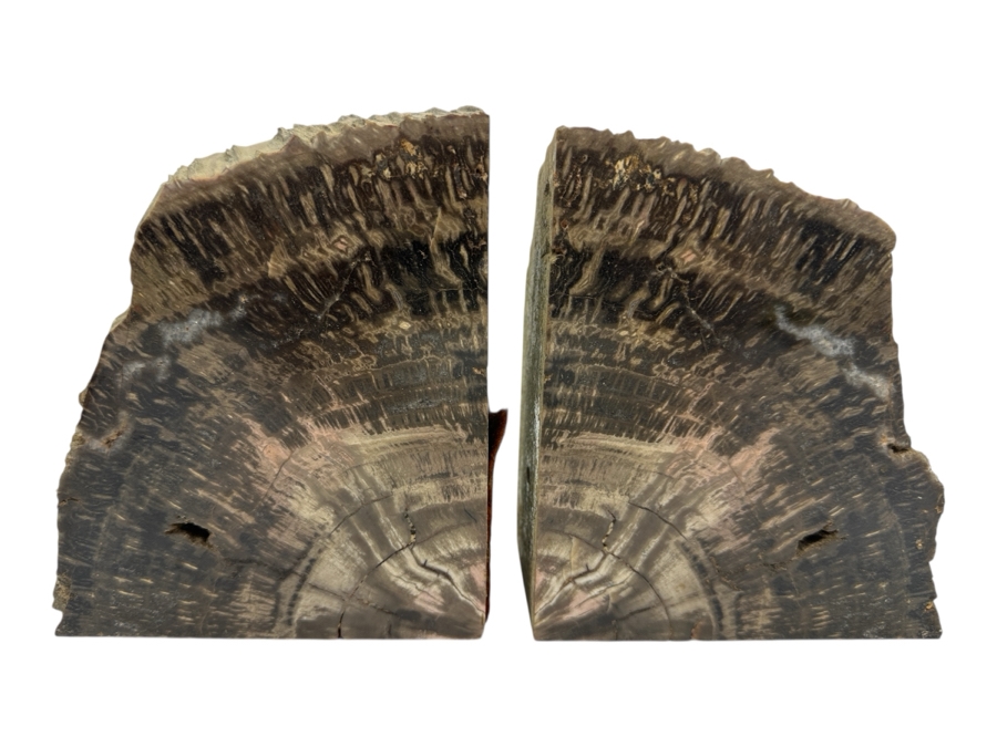 Pair of Petrified Wood Bookends 5.5'W x 6'H