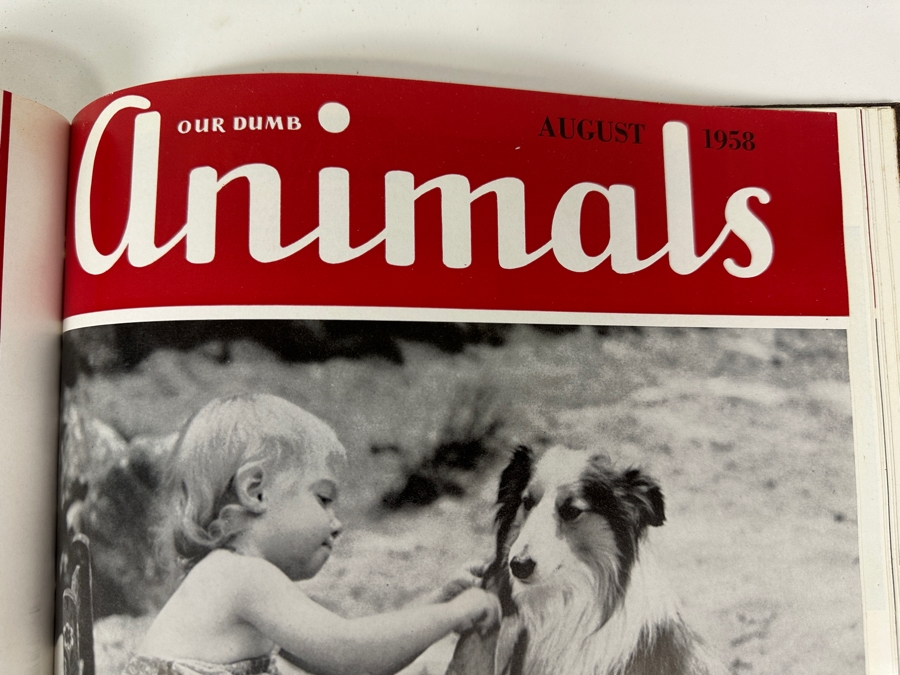 Just Added - Hardcover Bound 1958 Publications Of Our Dumb Animals Published By The Massachusetts Society For The Prevention Of Cruelty To Animals And American Humane Education Society [Photo 10]