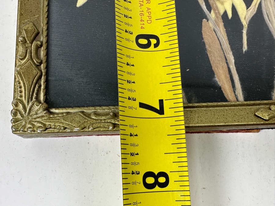 Just Added - Vintage Dried Edelweiss Flowers In Vintage Frame 5 X 7 [Photo 7]