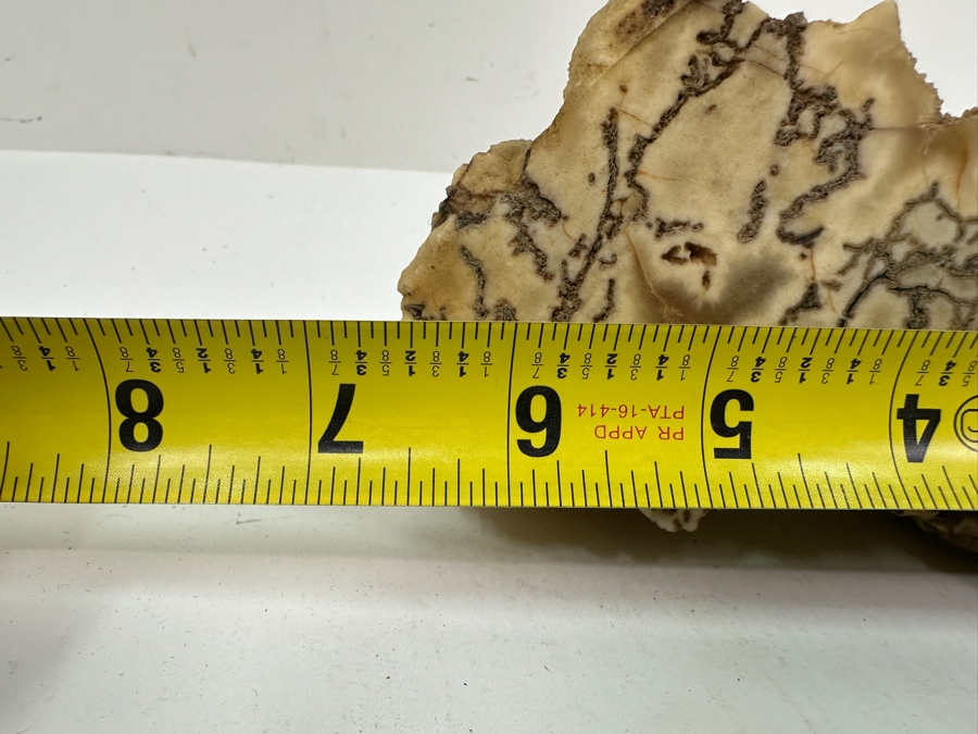 Just Added - White Buffalo Stone Howlite Rock 7' x 3' x 3' [Photo 6]