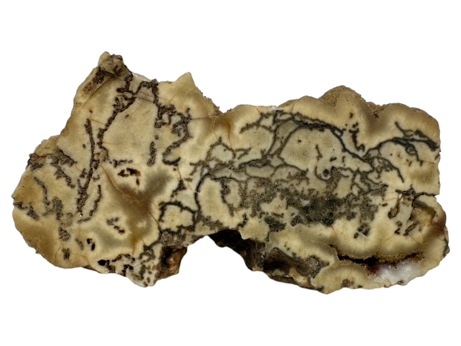 Just Added - White Buffalo Stone Howlite Rock 7' x 3' x 3'