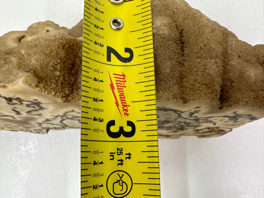 Just Added - White Buffalo Stone Howlite Rock 7' x 3' x 3' [Photo 8]