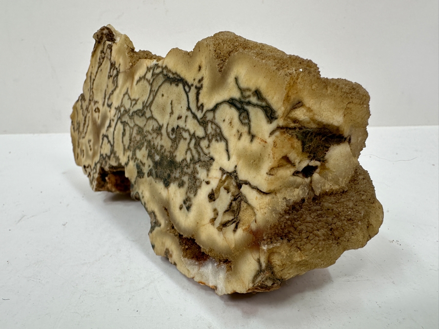 Just Added - White Buffalo Stone Howlite Rock 7' x 3' x 3' [Photo 2]