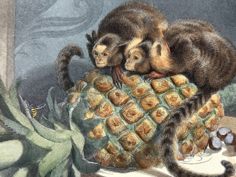 Just Added - Antique 1800s Thomas Landseer Engraving Of A Painting By His Brother Sir Edwin Henry Landseer Titled “The Marmozetts” 13 X 10 [Photo 5]