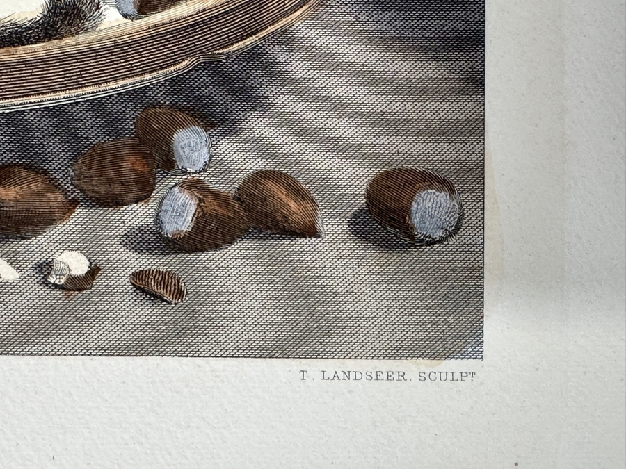 Just Added - Antique 1800s Thomas Landseer Engraving Of A Painting By His Brother Sir Edwin Henry Landseer Titled “The Marmozetts” 13 X 10 [Photo 11]