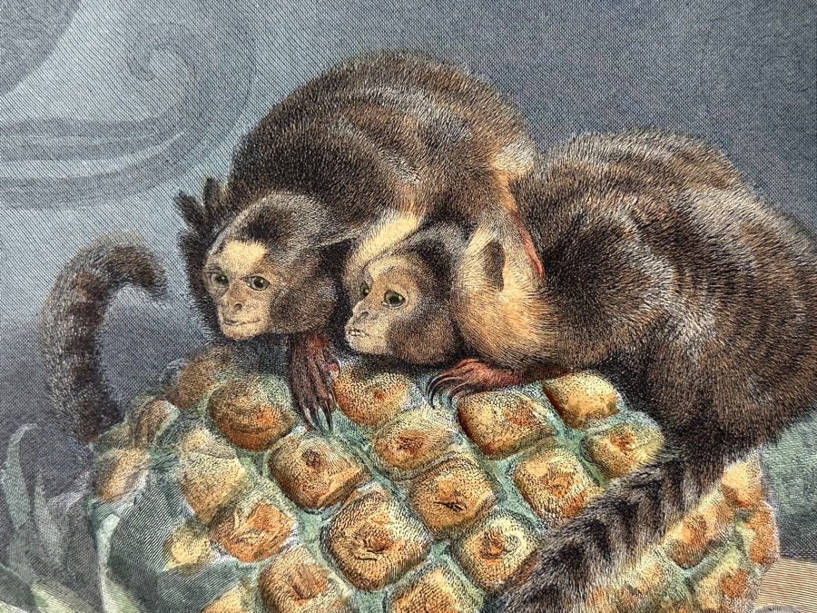 Just Added - Antique 1800s Thomas Landseer Engraving Of A Painting By His Brother Sir Edwin Henry Landseer Titled “The Marmozetts” 13 X 10 [Photo 6]