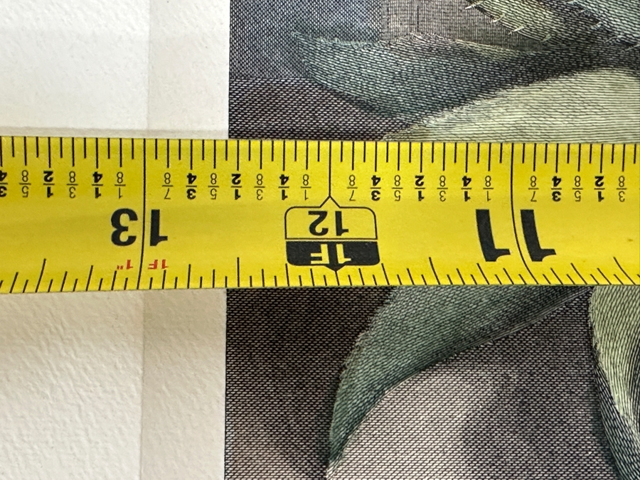 Just Added - Antique 1800s Thomas Landseer Engraving Of A Painting By His Brother Sir Edwin Henry Landseer Titled “The Marmozetts” 13 X 10 [Photo 13]