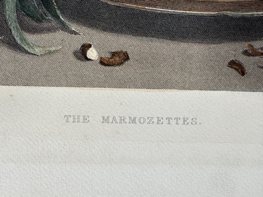 Just Added - Antique 1800s Thomas Landseer Engraving Of A Painting By His Brother Sir Edwin Henry Landseer Titled “The Marmozetts” 13 X 10 [Photo 8]