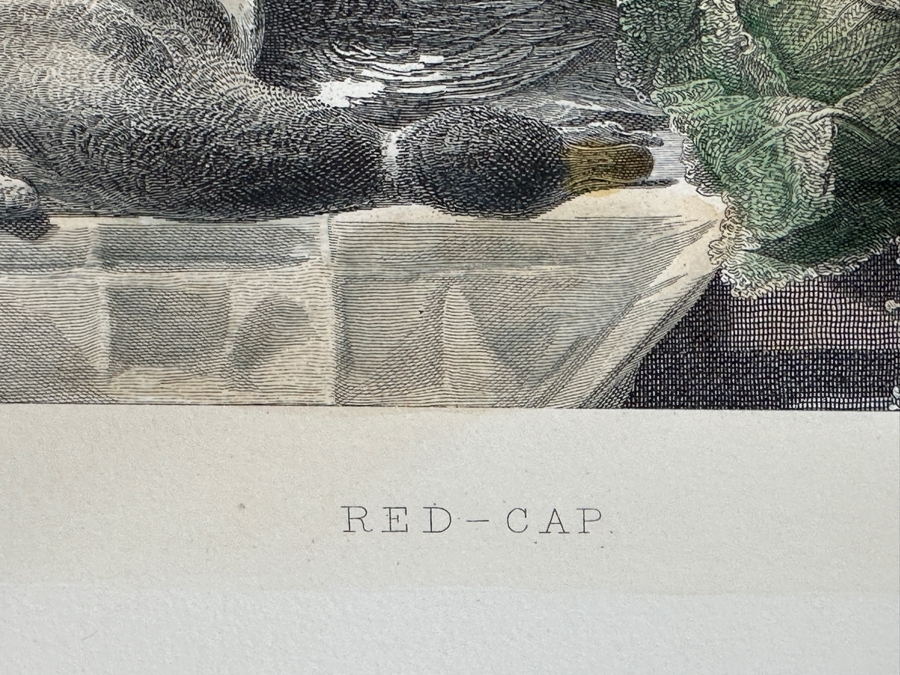 Just Added - Antique 1800s William Dean Taylor Engraving After A Painting By George Lance Titled “Red-Cap” 13 X 10 [Photo 7]