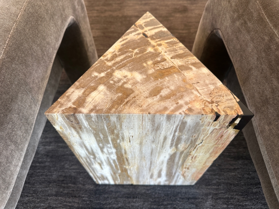 Crate & Barrel CB2 Tri Petrified Wood Side Table 10'W x 12'D x 16'H [Photo 5]