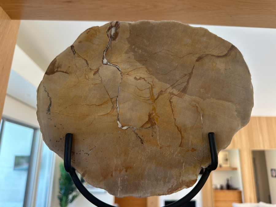 West Elm Petrified Wood Sculpture on Wrought Iron Stand 10.5'W x 13'H [Photo 2]