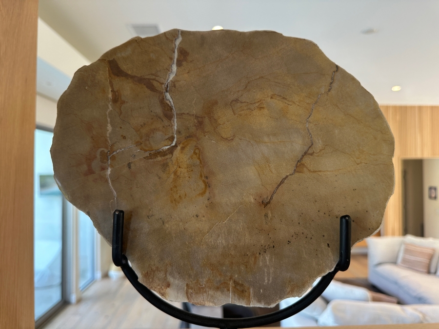 West Elm Petrified Wood Sculpture on Wrought Iron Stand 10.5'W x 13'H [Photo 7]