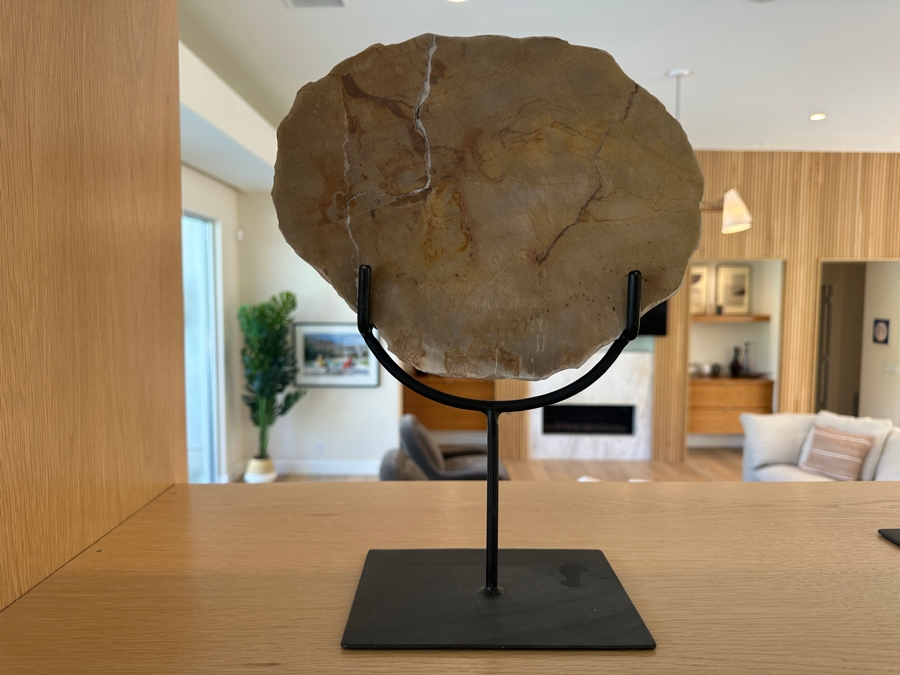 West Elm Petrified Wood Sculpture on Wrought Iron Stand 10.5'W x 13'H [Photo 6]