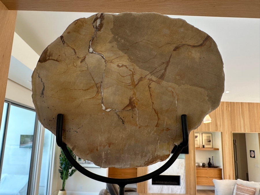 West Elm Petrified Wood Sculpture on Wrought Iron Stand 10.5'W x 13'H [Photo 3]