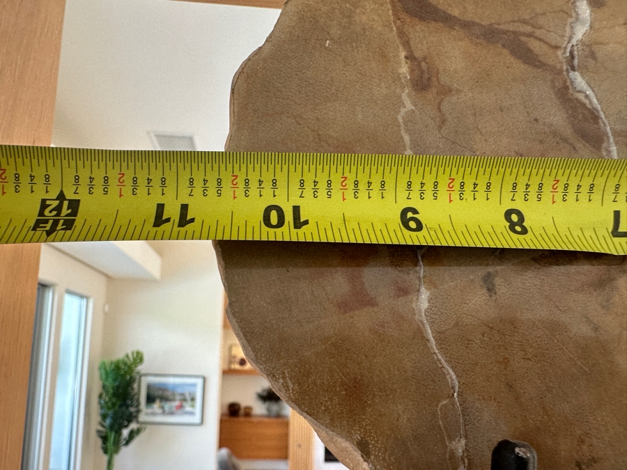 West Elm Petrified Wood Sculpture on Wrought Iron Stand 10.5'W x 13'H [Photo 8]