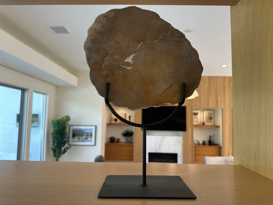 West Elm Petrified Wood Sculpture on Wrought Iron Stand 10'W x 14'H