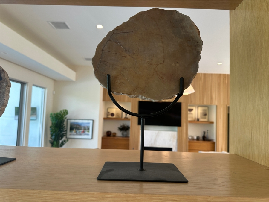 West Elm Petrified Wood Sculpture on Wrought Iron Stand 10'W x 14'H [Photo 4]