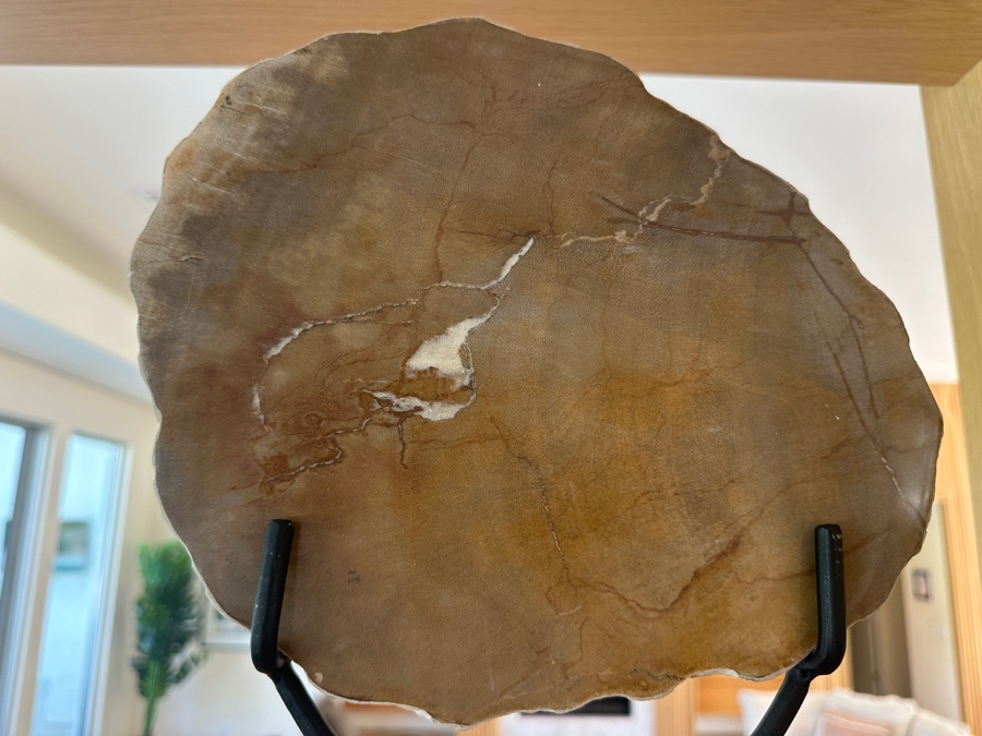 West Elm Petrified Wood Sculpture on Wrought Iron Stand 10'W x 14'H [Photo 2]