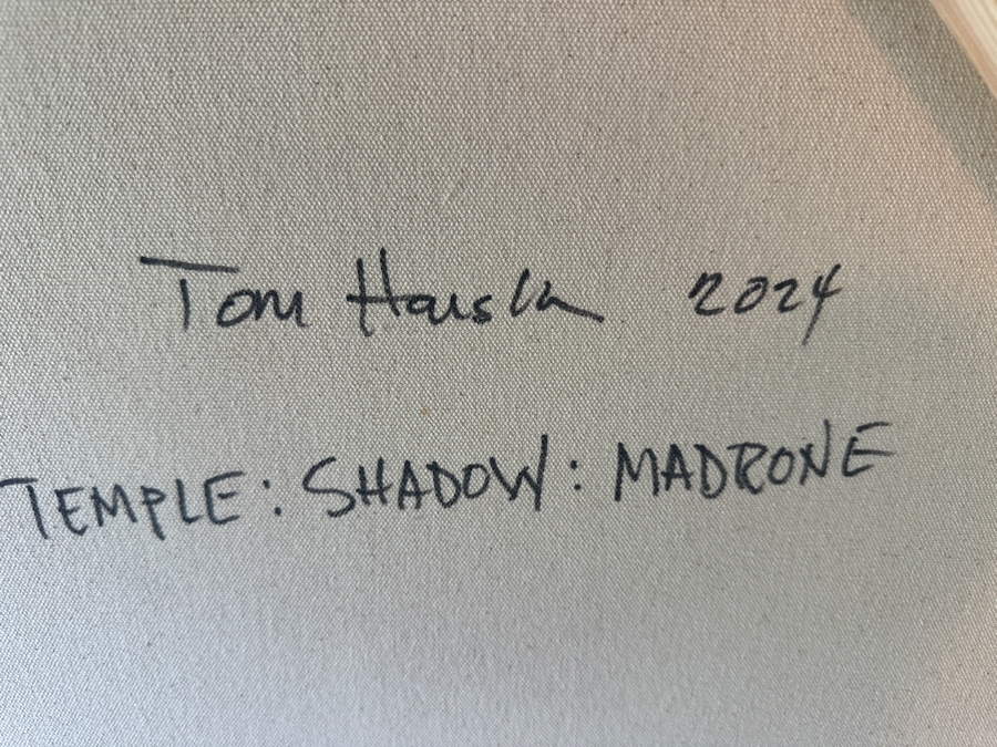 Original Tom Hausken 'Temple: Shadow: Madrone' 2024 Oil, Alkyd, Graphite, Shellac on Canvas 48' x 72' Retails $8,000 [Photo 11]