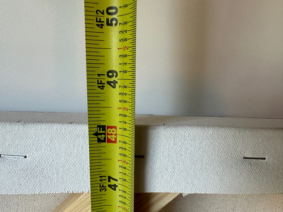 Original Tom Hausken 'Temple: Shadow: Madrone' 2024 Oil, Alkyd, Graphite, Shellac on Canvas 48' x 72' Retails $8,000 [Photo 14]