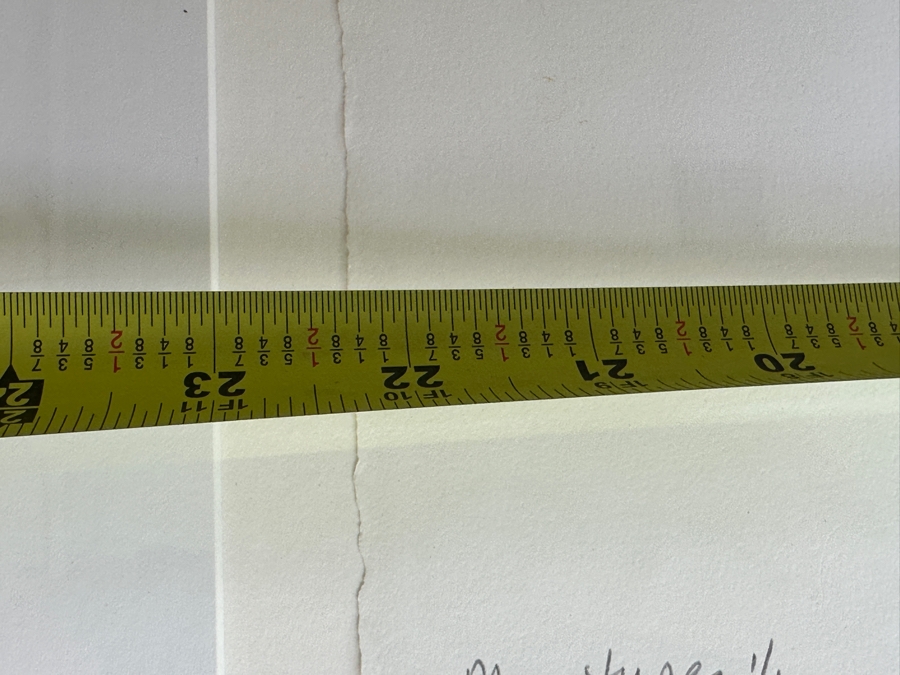 Lydia Riegle Original Oil Monotype Collage On Archival Paper Titled “Party Time” 22.5 X 29.5 Framed 34.5X 42 Retails $1,640 [Photo 13]