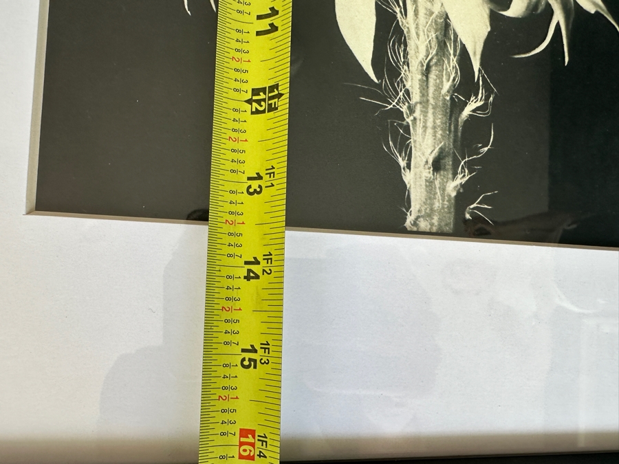 Photographic Print Of The Desert Magazine Framed 17 X 21 [Photo 7]