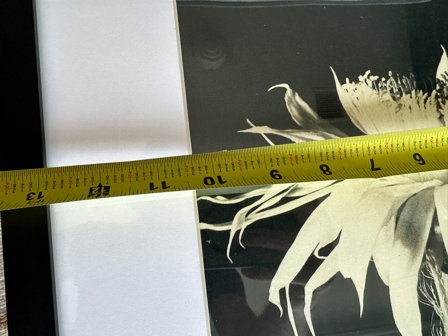 Photographic Print Of The Desert Magazine Framed 17 X 21 [Photo 6]