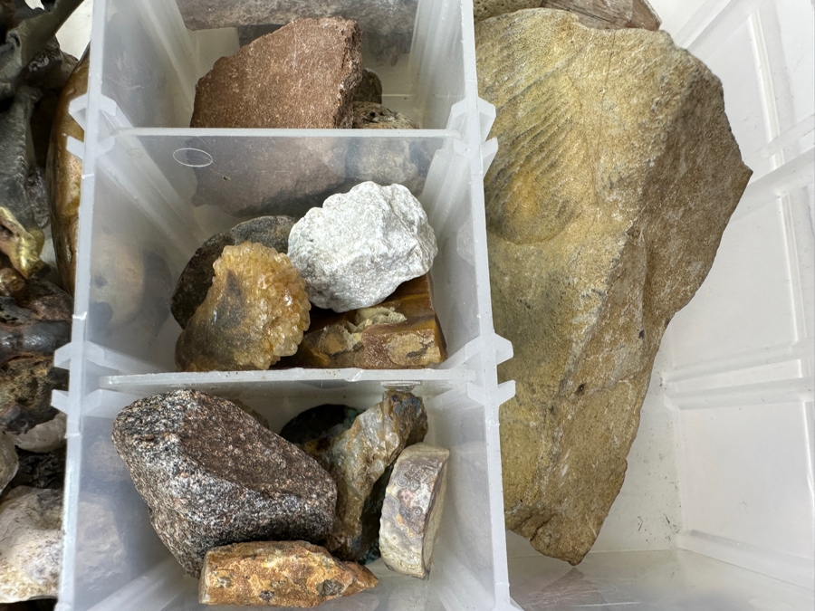 Tray Of Various Rocks & Minerals - See Photos [Photo 21]