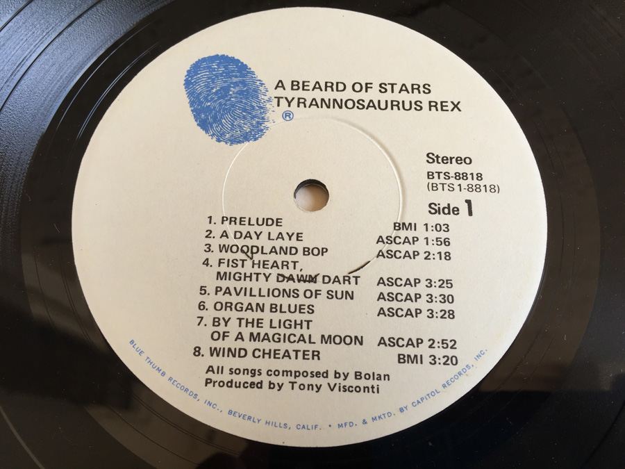 Tyrannosaurus Rex ‎- A Beard Of Stars - Blue Thumb Records ‎- BTS-8818 [Photo 6]