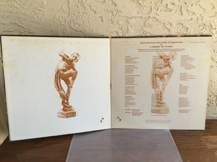 Tyrannosaurus Rex ‎- A Beard Of Stars - Blue Thumb Records ‎- BTS-8818 [Photo 3]