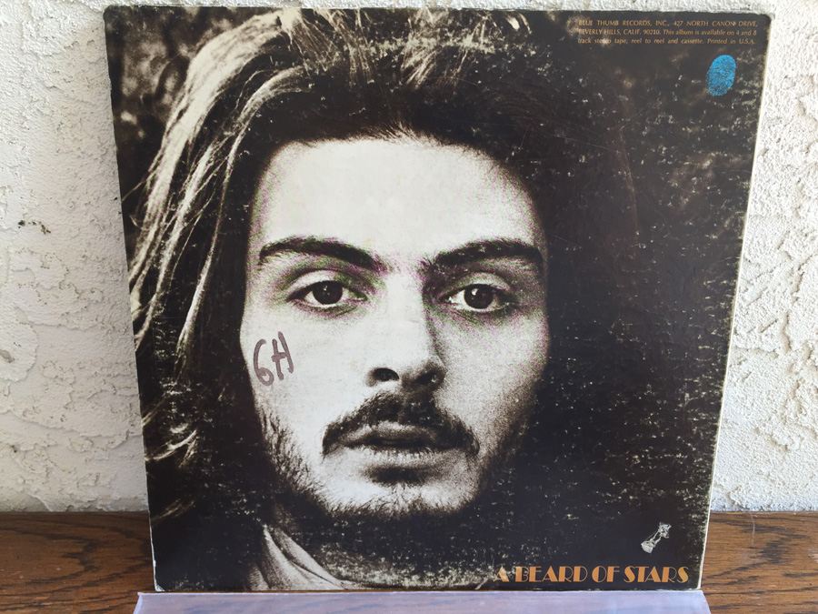 Tyrannosaurus Rex ‎- A Beard Of Stars - Blue Thumb Records ‎- BTS-8818 [Photo 2]