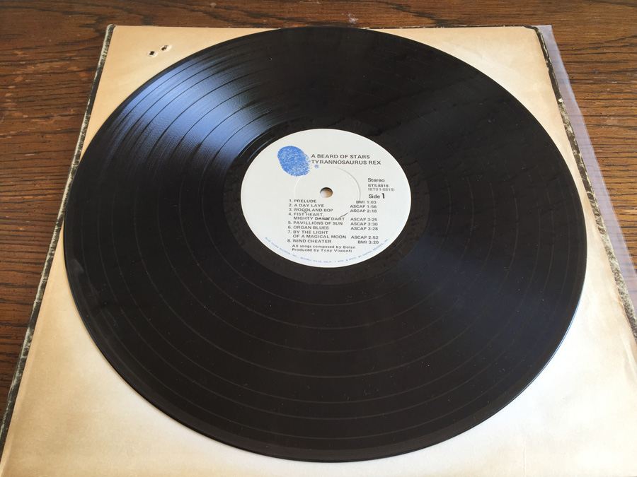 Tyrannosaurus Rex ‎- A Beard Of Stars - Blue Thumb Records ‎- BTS-8818 [Photo 5]