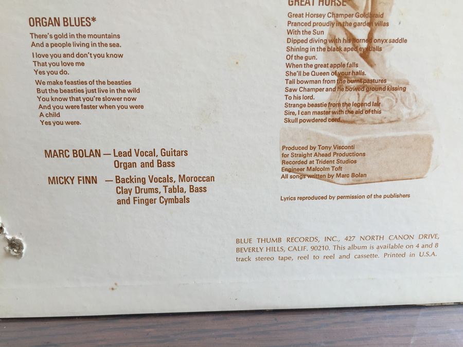 Tyrannosaurus Rex ‎- A Beard Of Stars - Blue Thumb Records ‎- BTS-8818 [Photo 4]