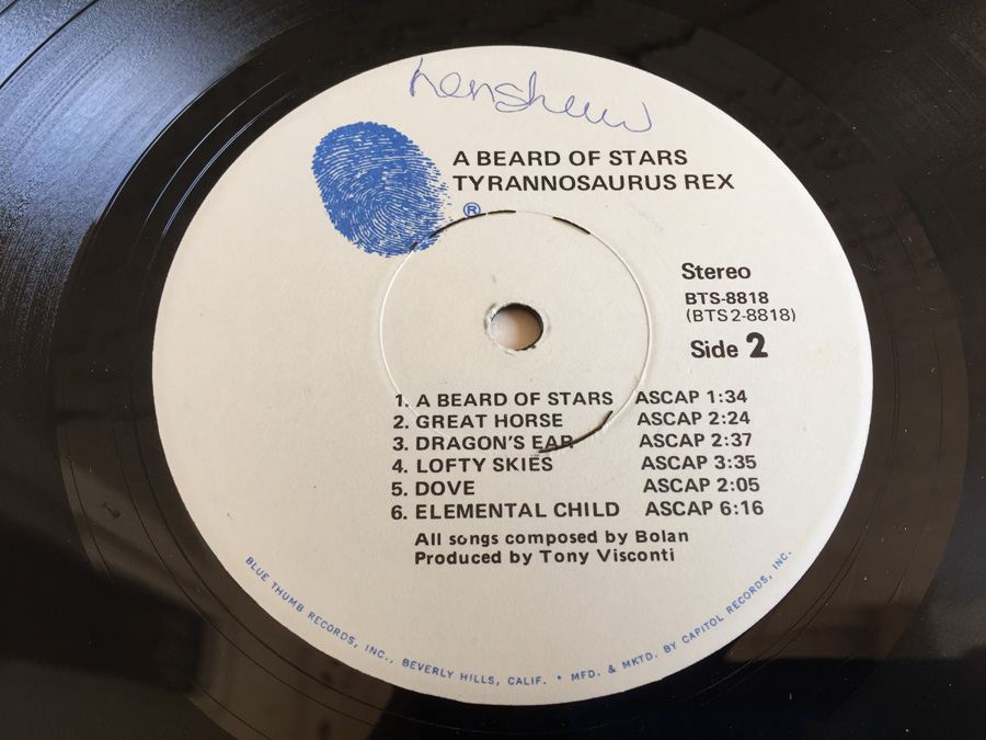 Tyrannosaurus Rex ‎- A Beard Of Stars - Blue Thumb Records ‎- BTS-8818 [Photo 8]