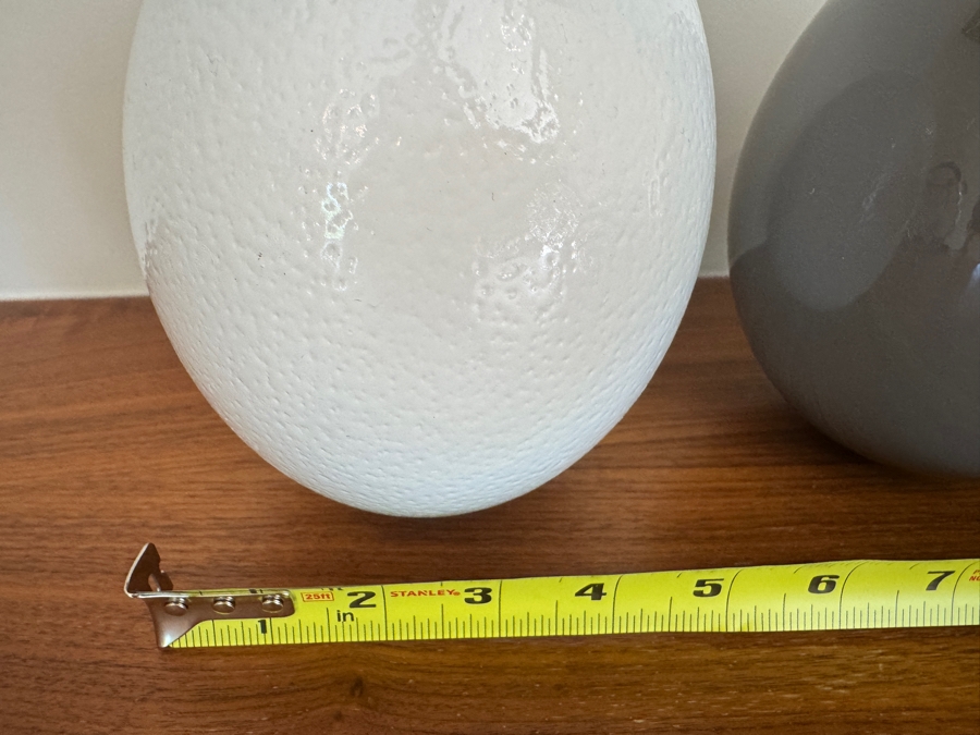 Just Added - Pair of Gray and White Lacquered Ostrich Eggs 5'W x 6.5'H [Photo 5]