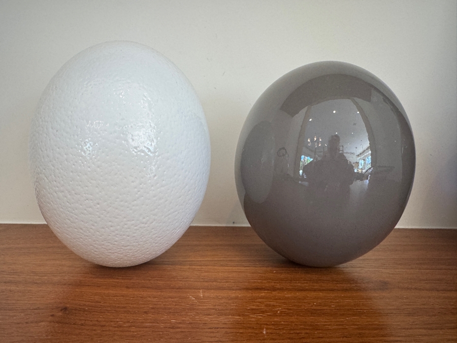 Just Added - Pair of Gray and White Lacquered Ostrich Eggs 5'W x 6.5'H [Photo 4]