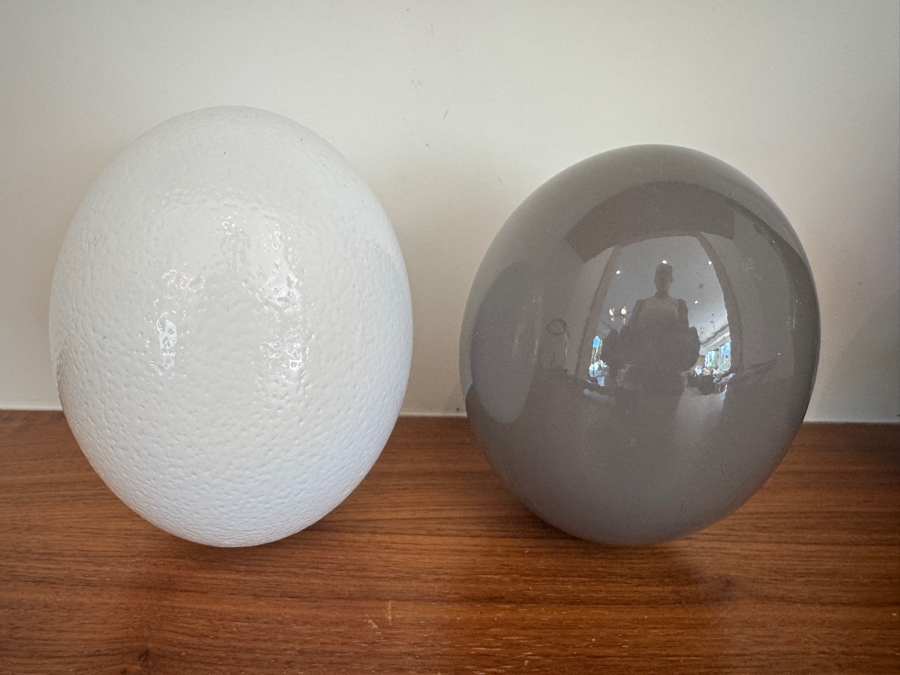 Just Added - Pair of Gray and White Lacquered Ostrich Eggs 5'W x 6.5'H