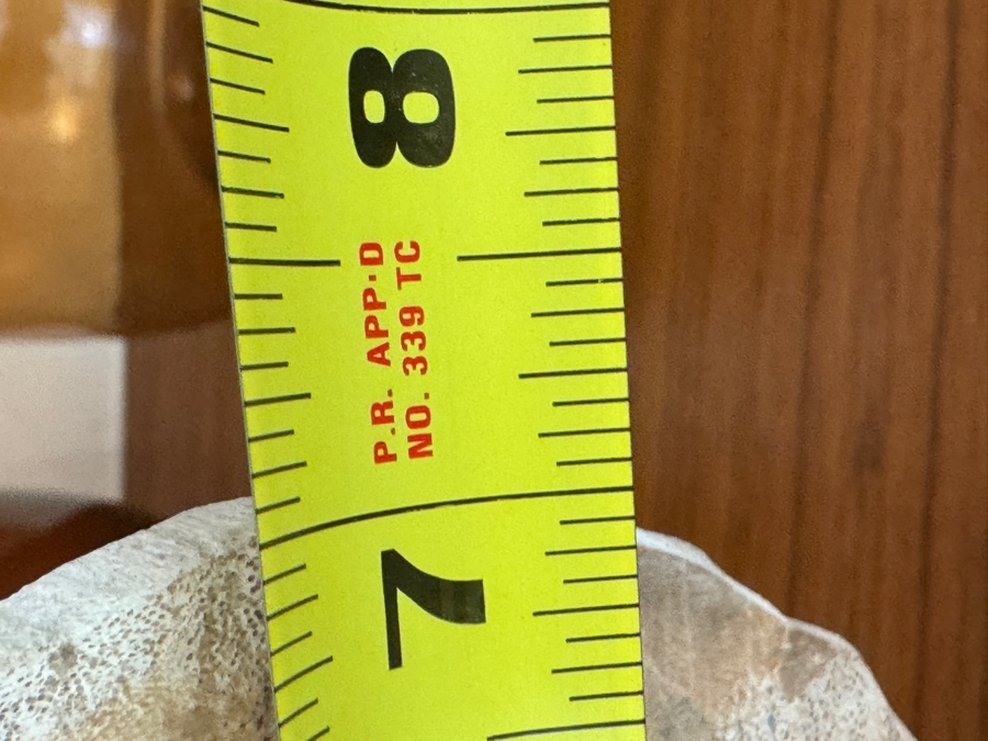 West Elm Petrified Wood On Stand 7'W x 10'H [Photo 3]