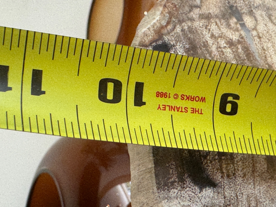 West Elm Petrified Wood On Stand 7'W x 10'H [Photo 4]