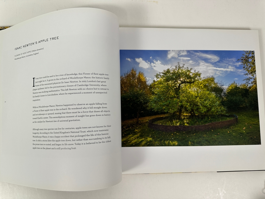 Hardcover Coffee Table Book Wise Trees By Diane Cook And Len Jenshel Retails $40 [Photo 3]