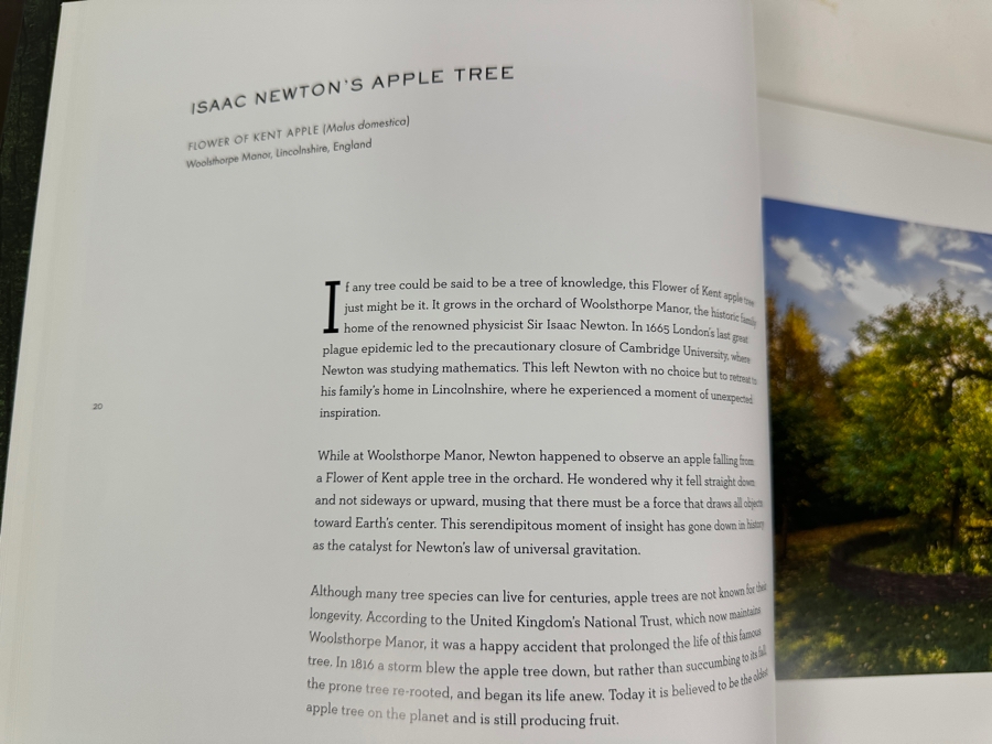 Hardcover Coffee Table Book Wise Trees By Diane Cook And Len Jenshel Retails $40 [Photo 5]