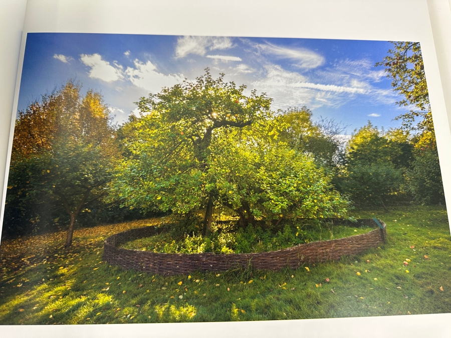 Hardcover Coffee Table Book Wise Trees By Diane Cook And Len Jenshel Retails $40 [Photo 4]