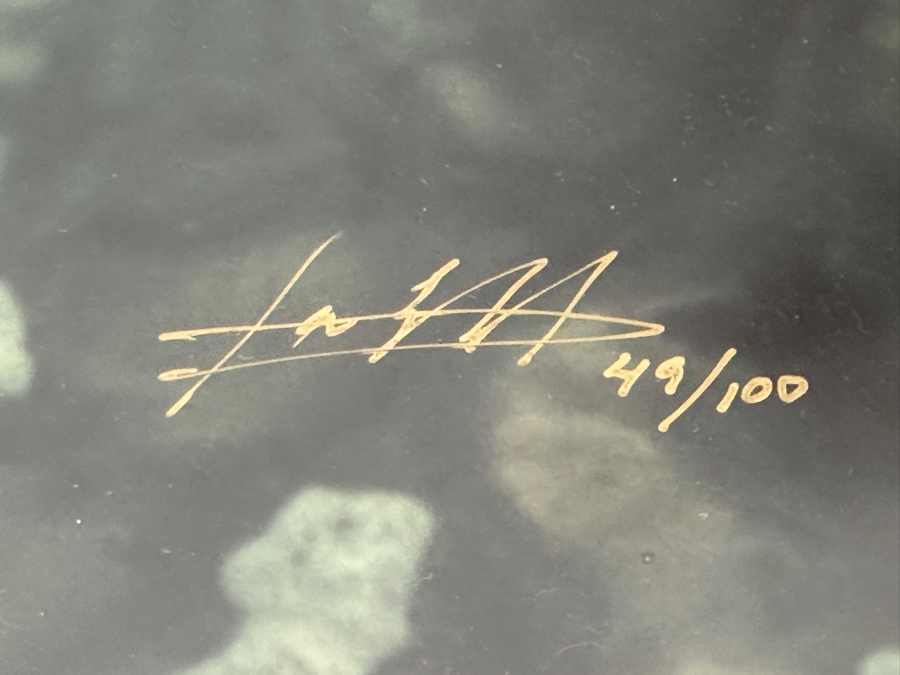 Limited Edition Mermaid Photograph Artist Signed Lower Right And Numbered 49 Of 100 19.5 X 13 Framed 28 X 21 [Photo 8]