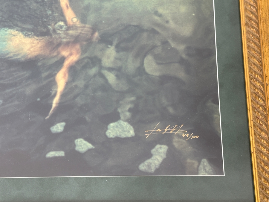 Limited Edition Mermaid Photograph Artist Signed Lower Right And Numbered 49 Of 100 19.5 X 13 Framed 28 X 21 [Photo 6]