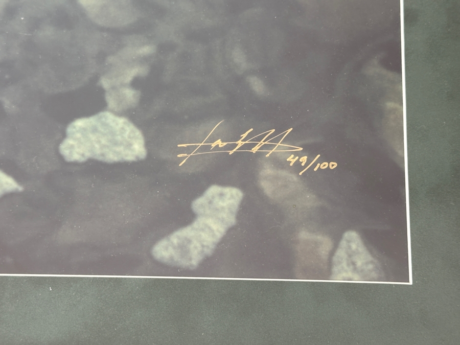 Limited Edition Mermaid Photograph Artist Signed Lower Right And Numbered 49 Of 100 19.5 X 13 Framed 28 X 21 [Photo 7]