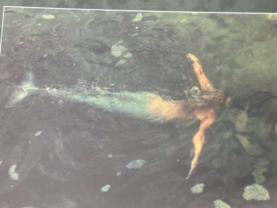 Limited Edition Mermaid Photograph Artist Signed Lower Right And Numbered 49 Of 100 19.5 X 13 Framed 28 X 21 [Photo 5]
