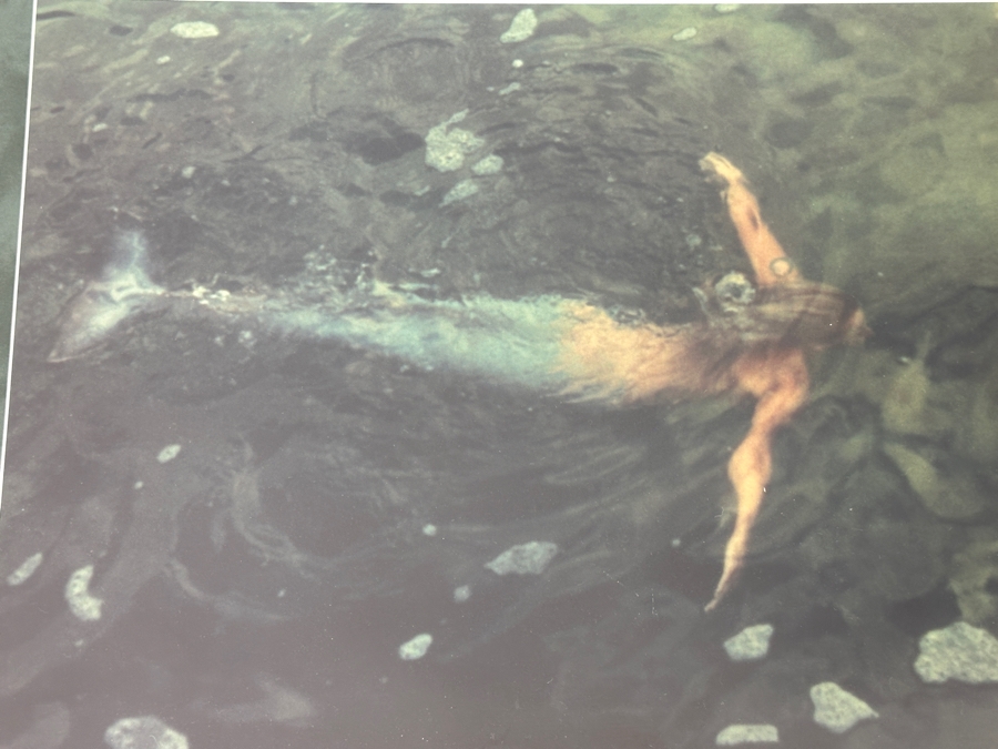 Limited Edition Mermaid Photograph Artist Signed Lower Right And Numbered 49 Of 100 19.5 X 13 Framed 28 X 21 [Photo 4]