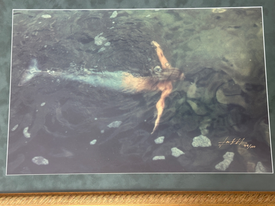 Limited Edition Mermaid Photograph Artist Signed Lower Right And Numbered 49 Of 100 19.5 X 13 Framed 28 X 21 [Photo 3]